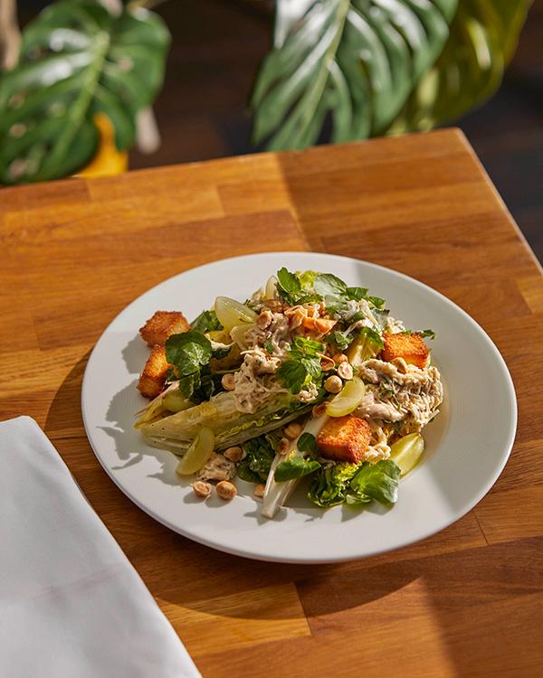 Shredded Chicken Salad